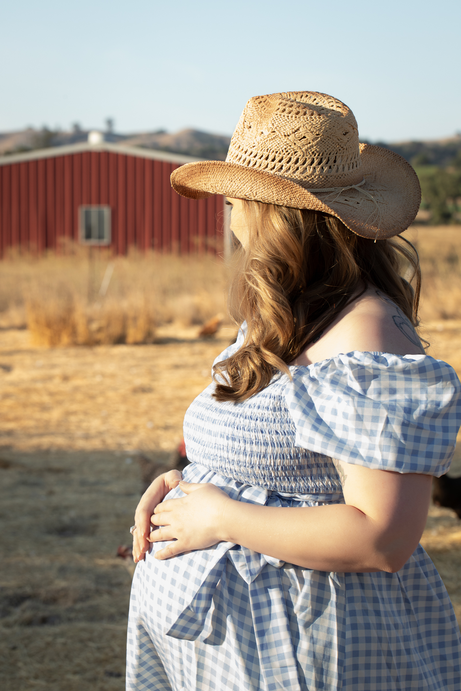 red barn blue checkered dress cowboy hat