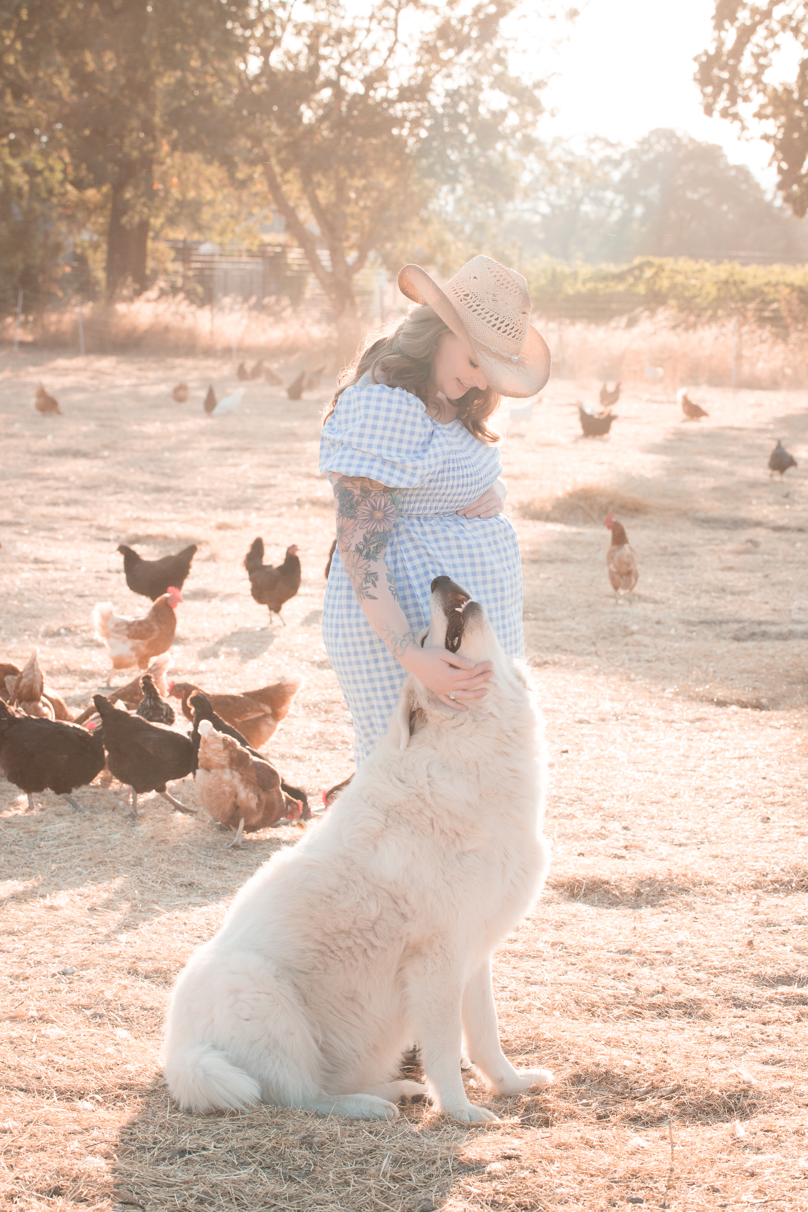 farm dog with pregnant woman